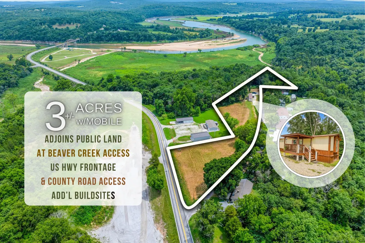 302 Davidson Run, Kissee Mills, MO 65680 - #1