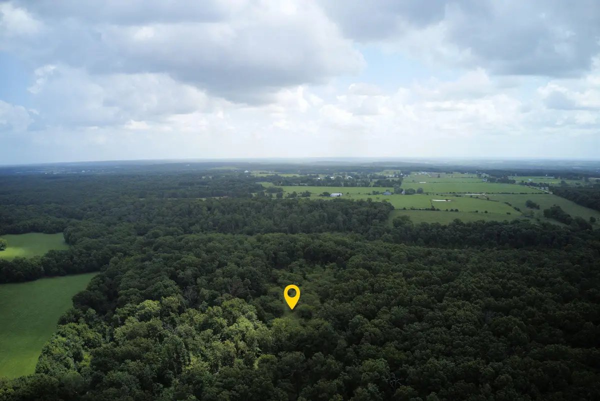 000 Nation School Road, Marshfield, MO 65706 - #1
