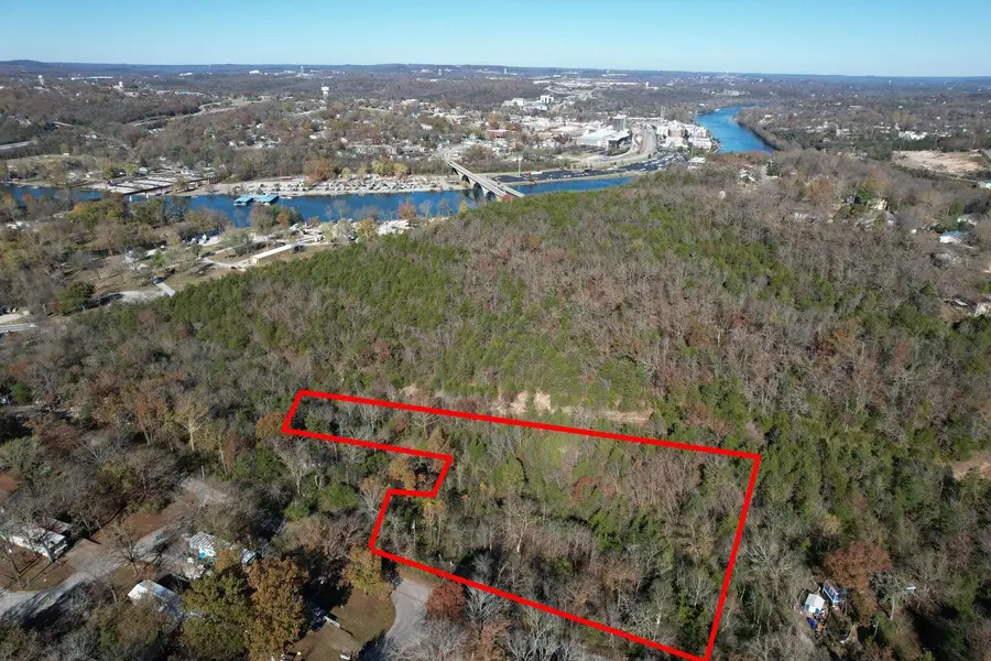 000 Lakeview Drive, Hollister, MO 65672 - #2