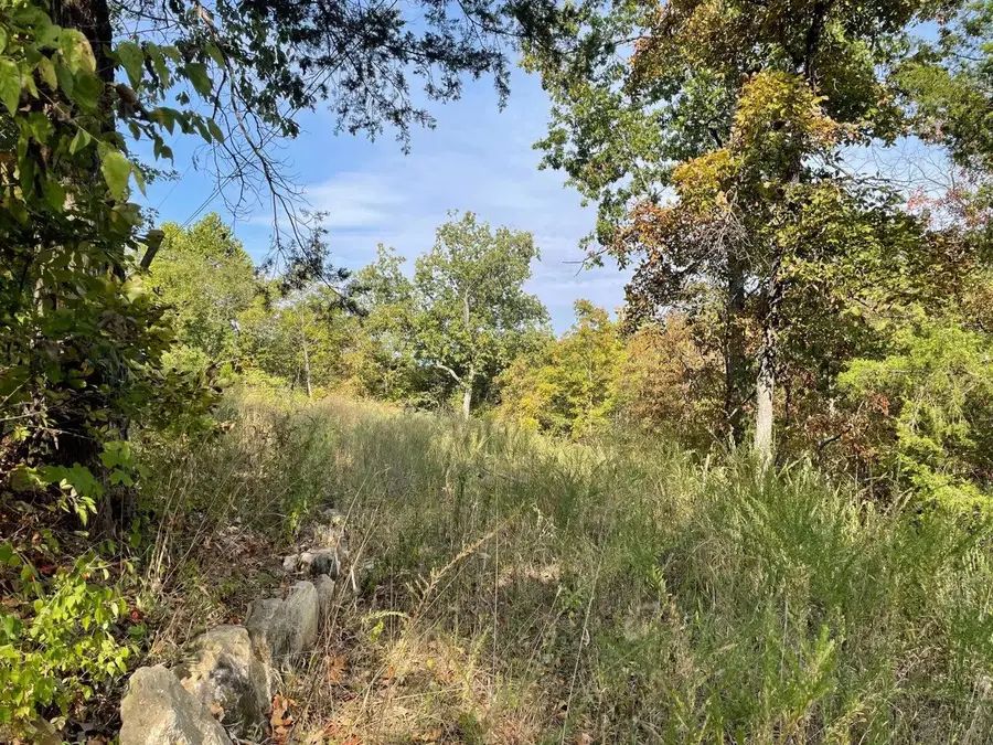 000 Lakeview Drive, Hollister, MO 65672 - #3
