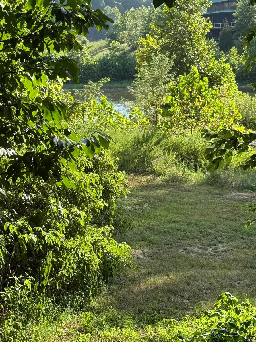 1597 State Highway Pp, Tecumseh, MO 65760 - #2