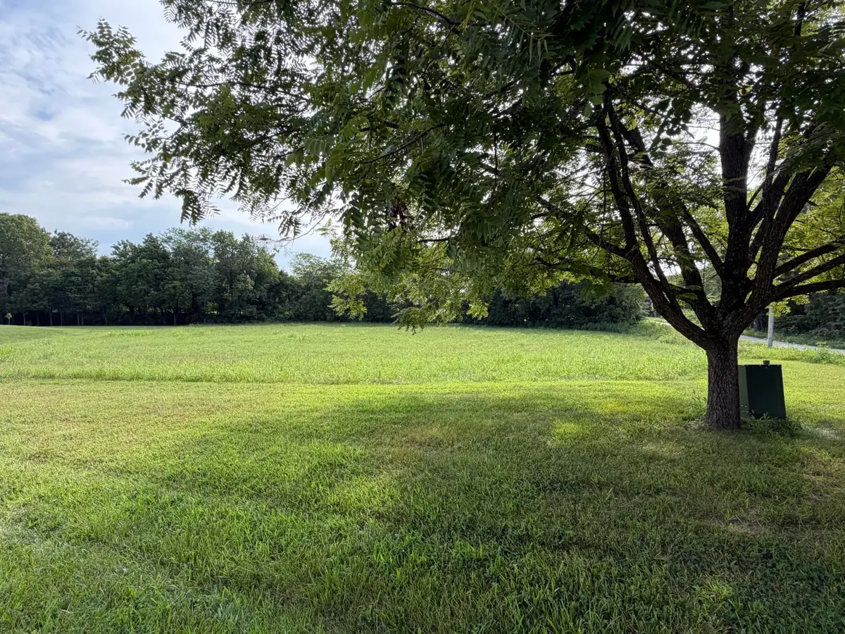 Lot 23 Knights Way Lane, Billings, MO 65610 - #1