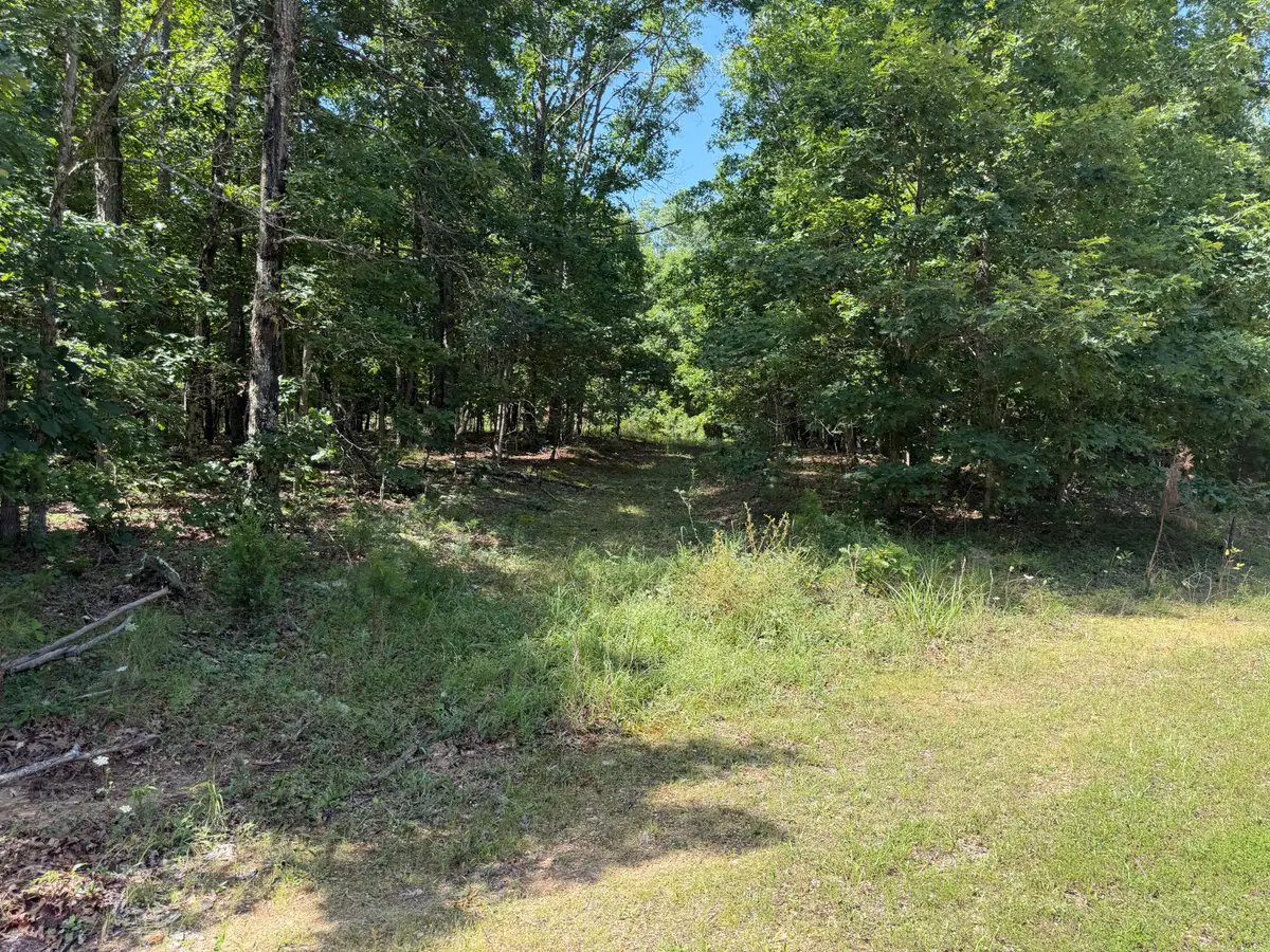 000 Golden Trail #Lot 79, Raymondville, MO 65555 - #1