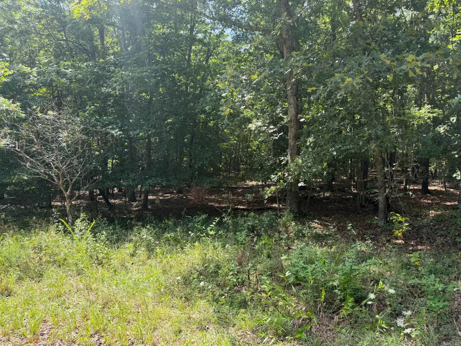000 Golden Trail #Lot 79, Raymondville, MO 65555 - #3