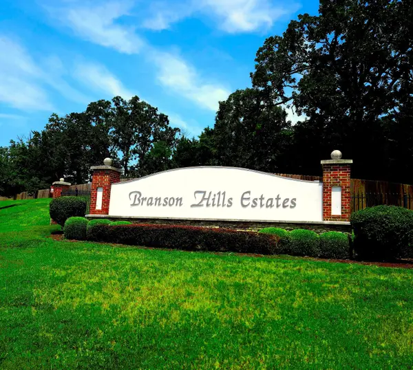 Tbd Olympic Drive, Branson, MO 65616