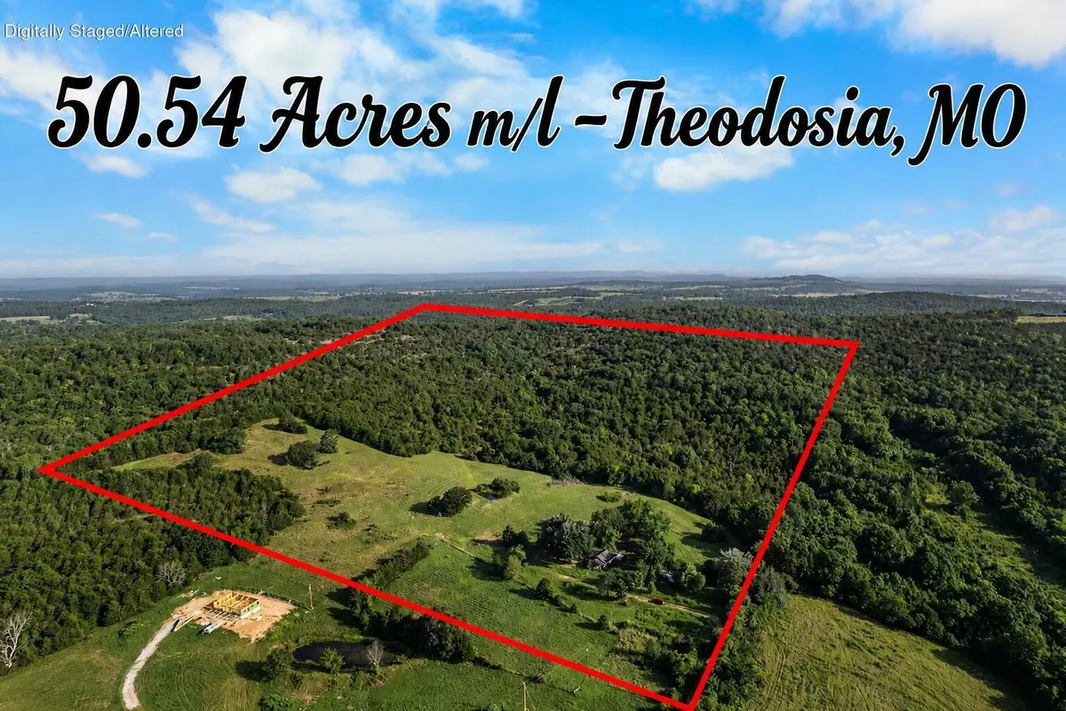 550 County Road 900, Theodosia, MO 65761 - #1