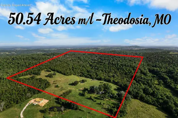 550 County Road 900, Theodosia, MO 65761