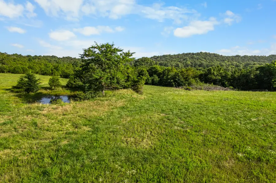 550 County Road 900, Theodosia, MO 65761 - #2