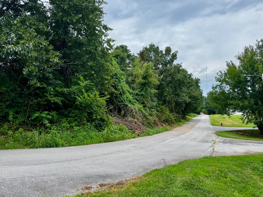 000 Peach Tree Street, Fordland, MO 65652 - #2