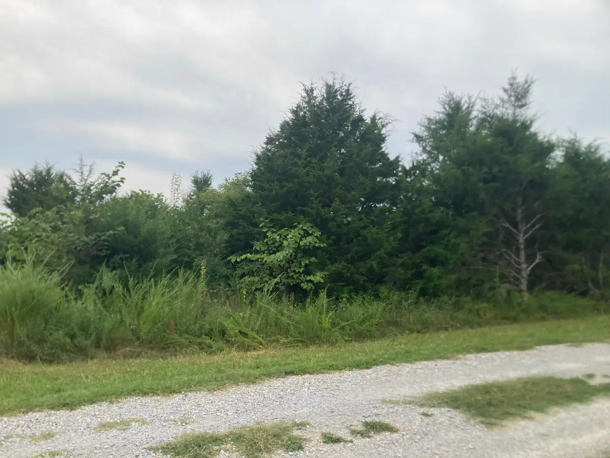 000 Reid Drive, Theodosia, MO 65761 - #1