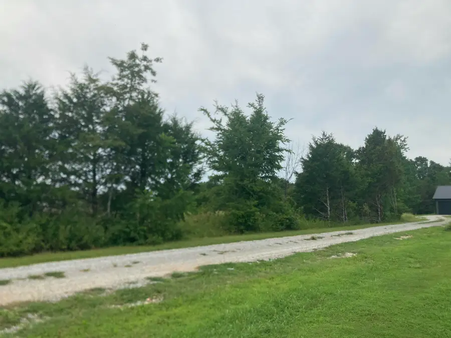 000 Reid Drive, Theodosia, MO 65761 - #3