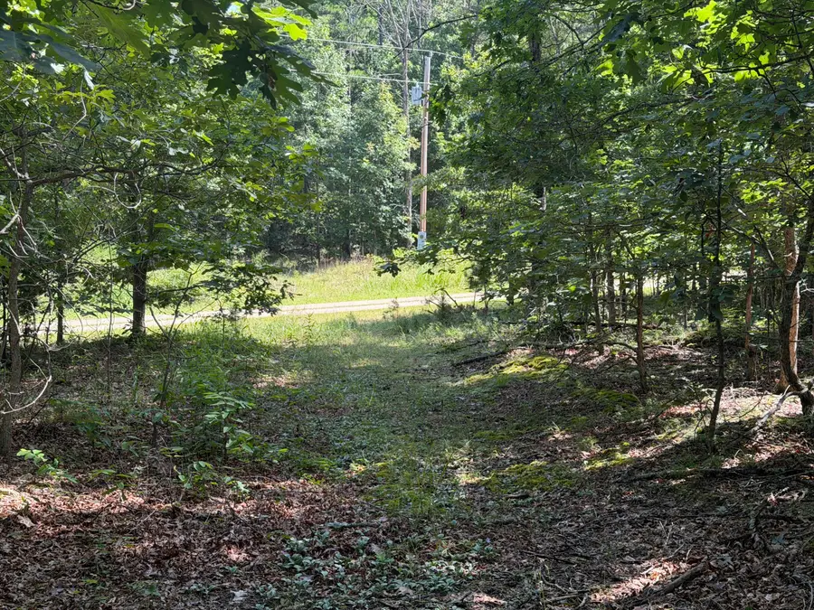 000 Golden Trail #77, Raymondville, MO 65555 - #2