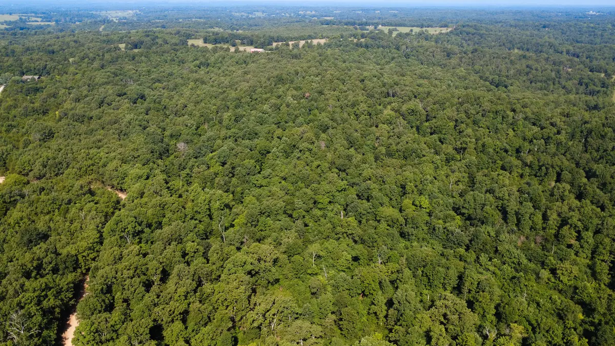 000 County Road 219, Thayer, MO 65791 - #1