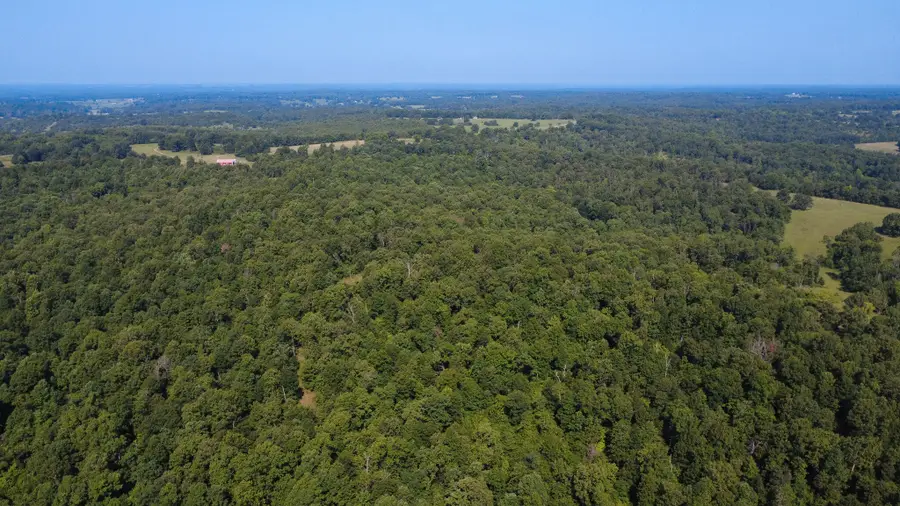 000 County Road 219, Thayer, MO 65791 - #2