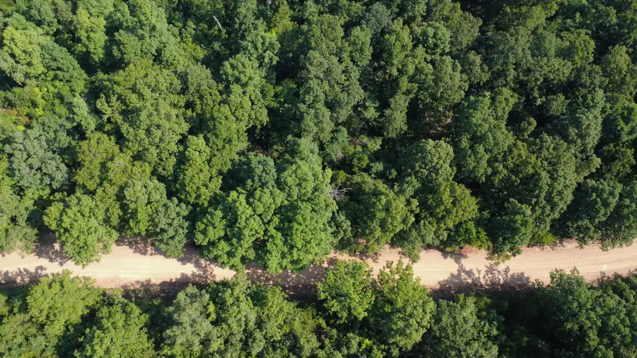 000 County Road 219, Thayer, MO 65791 - #3