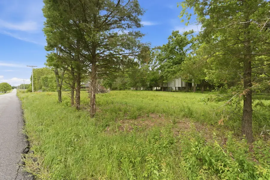 000 Chicory Road #Tract 3a, Rogersville, MO 65742 - #3