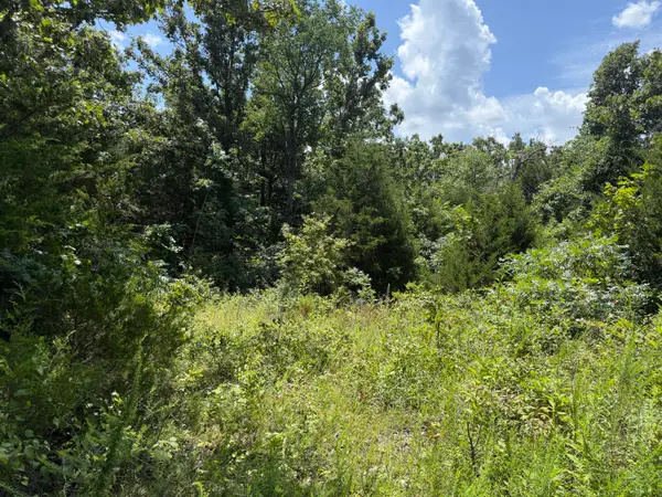 000 Ranch Road, Willow Springs, MO 65793