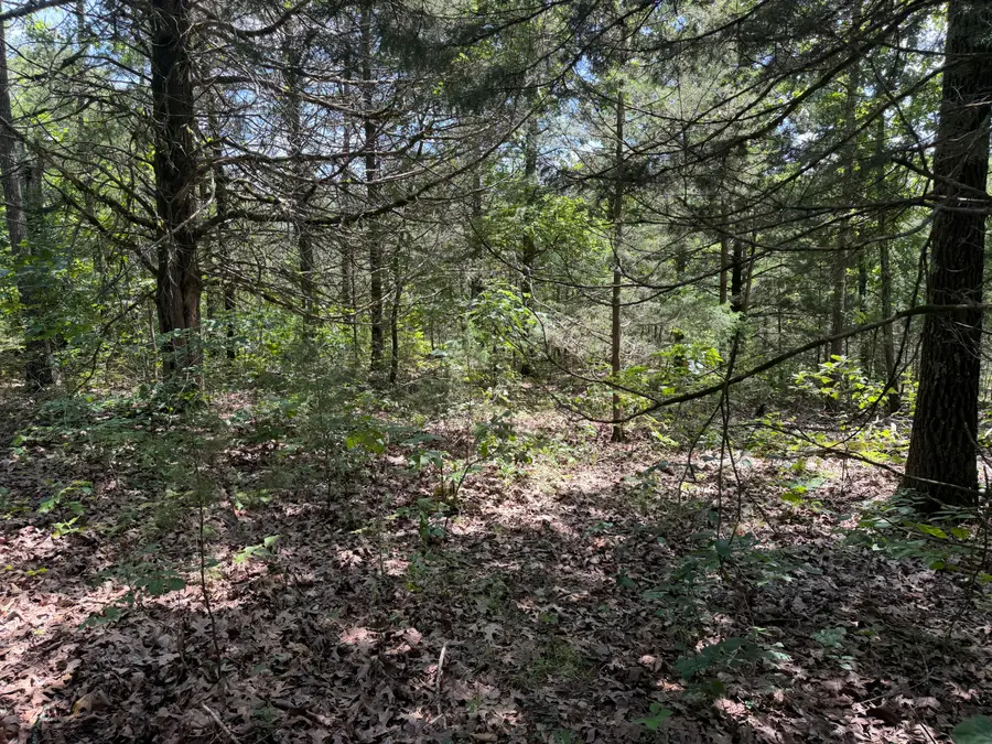 000 Ranch Road, Willow Springs, MO 65793 - #3
