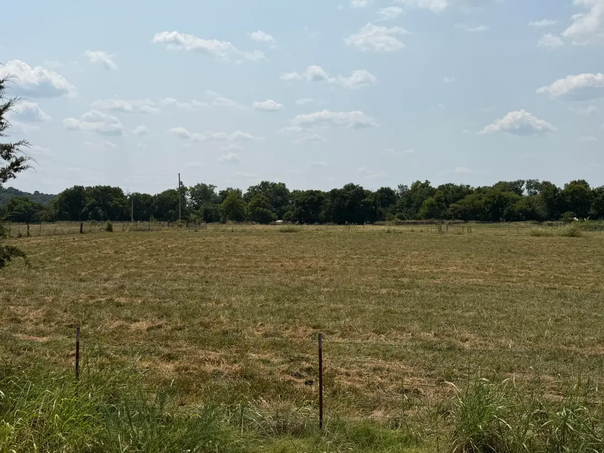 85 Quarter Horse Lane, Pineville, MO 64856 - #1