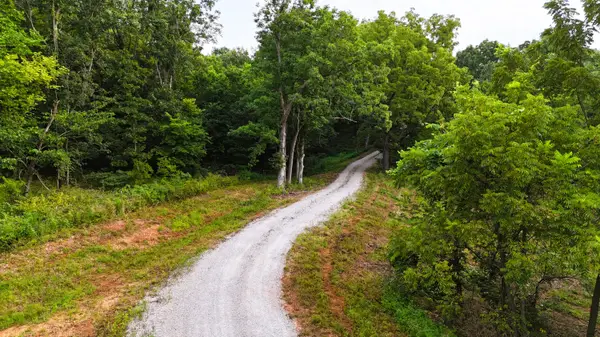 Lot 5 County Rd 2100, Mt Vernon, MO 65712