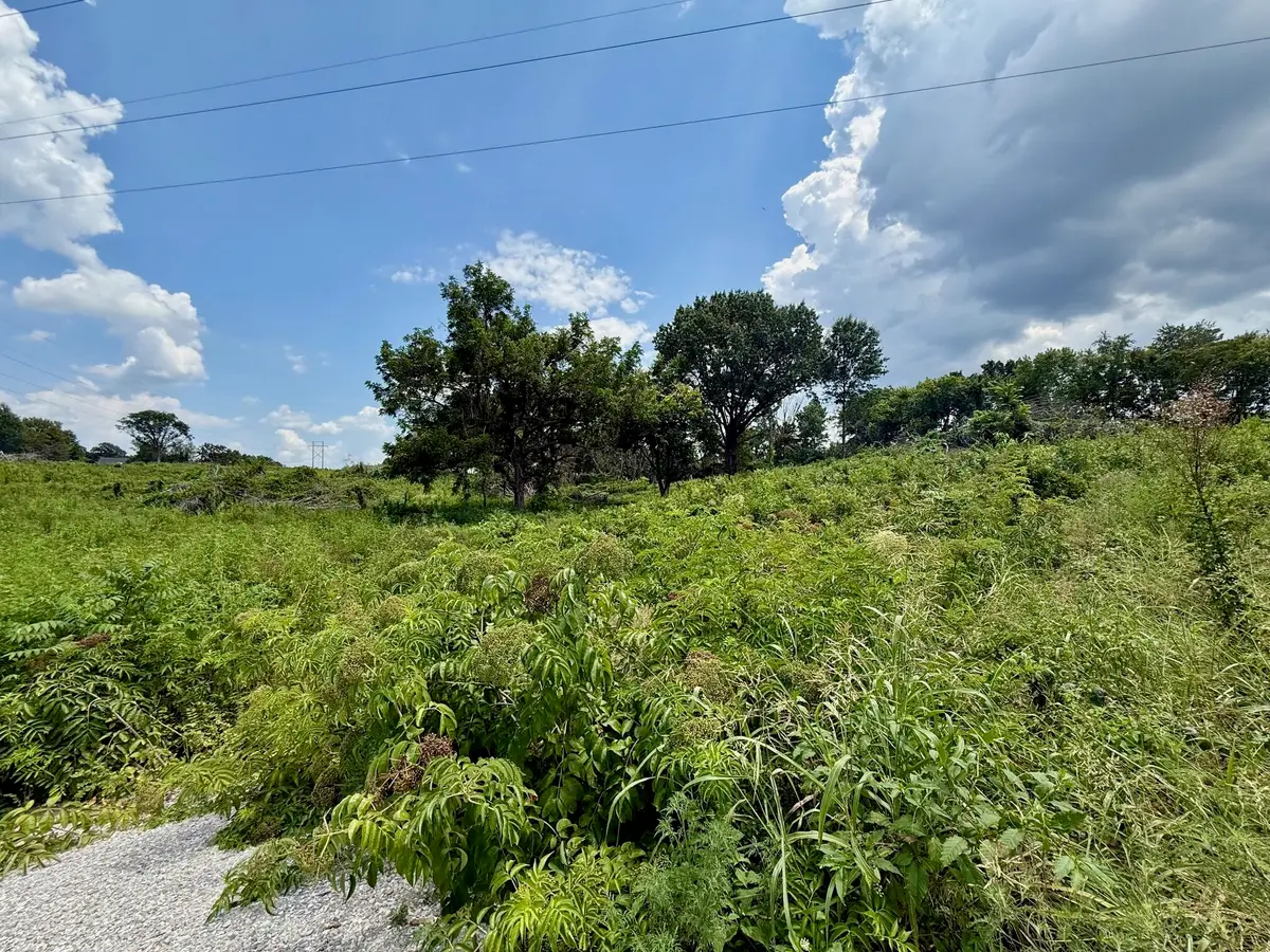 Xxx Oak Ridge Drive, Neosho, MO 64850 - #1