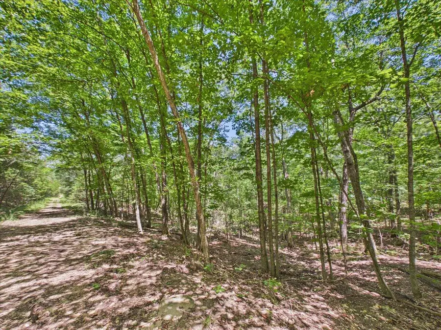 26325-T2 State Highway Ra, Pittsburg, MO 65724 - #2