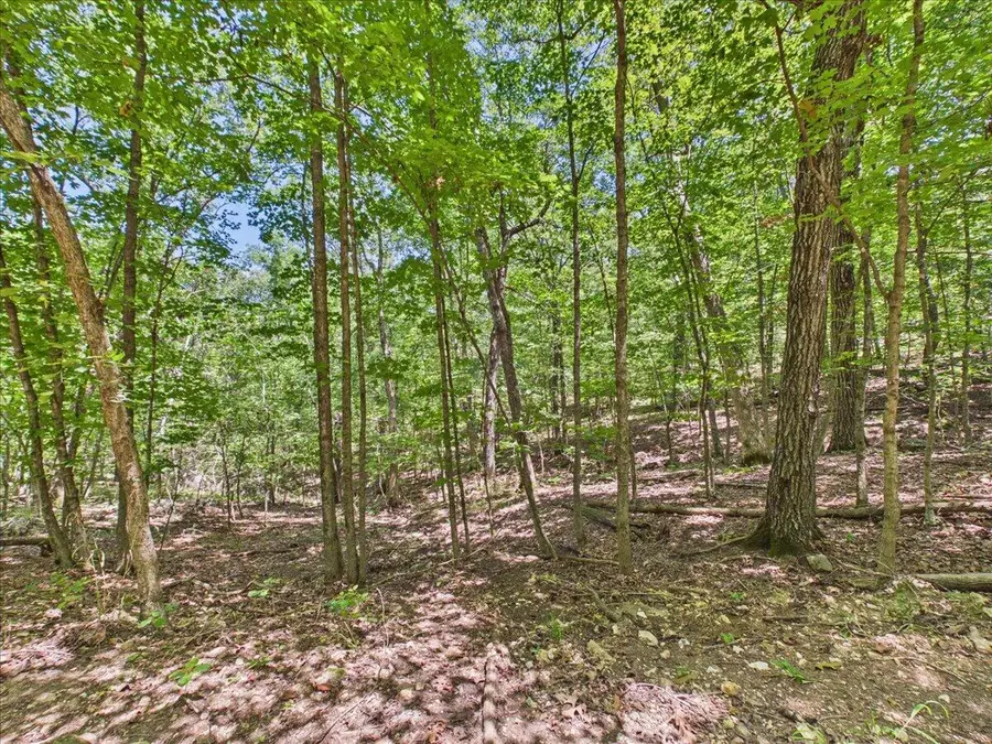 26325-T2 State Highway Ra, Pittsburg, MO 65724 - #3