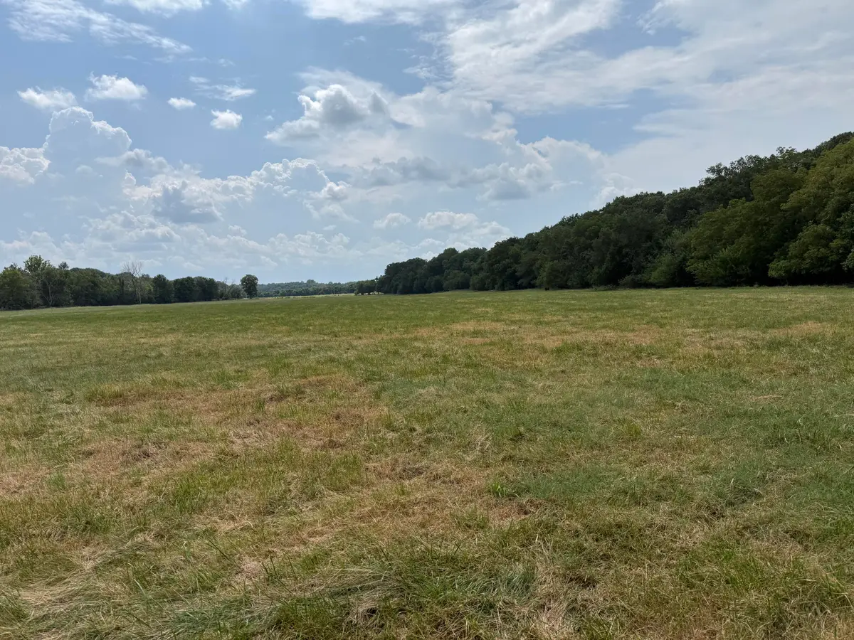 Tract 1 W Farm Road 168, Republic, MO 65738 - #1