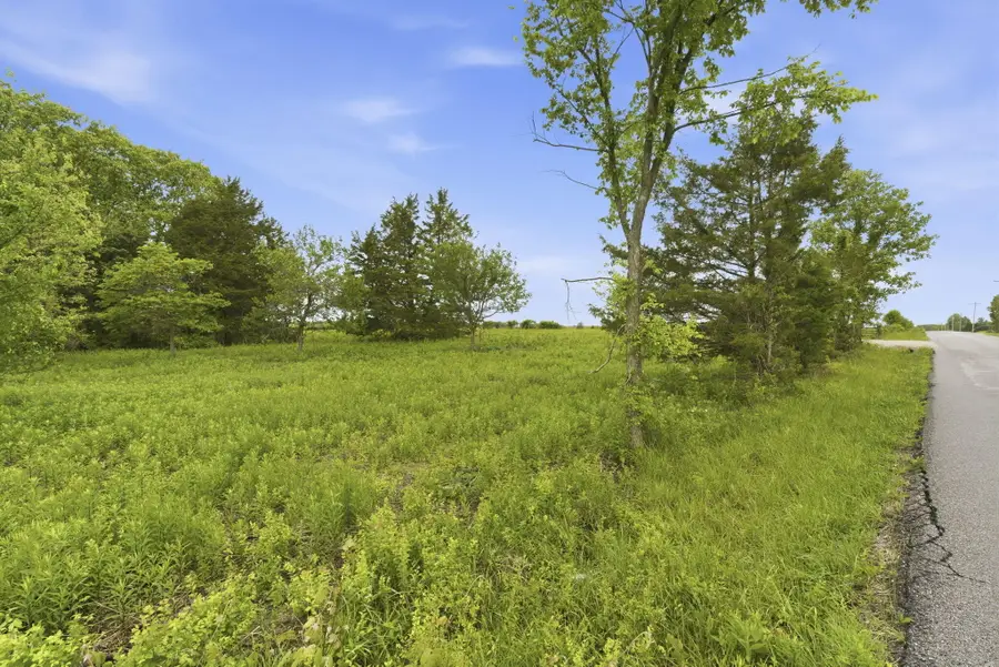 000 Chicory Road #Tract 2, Rogersville, MO 65742 - #2