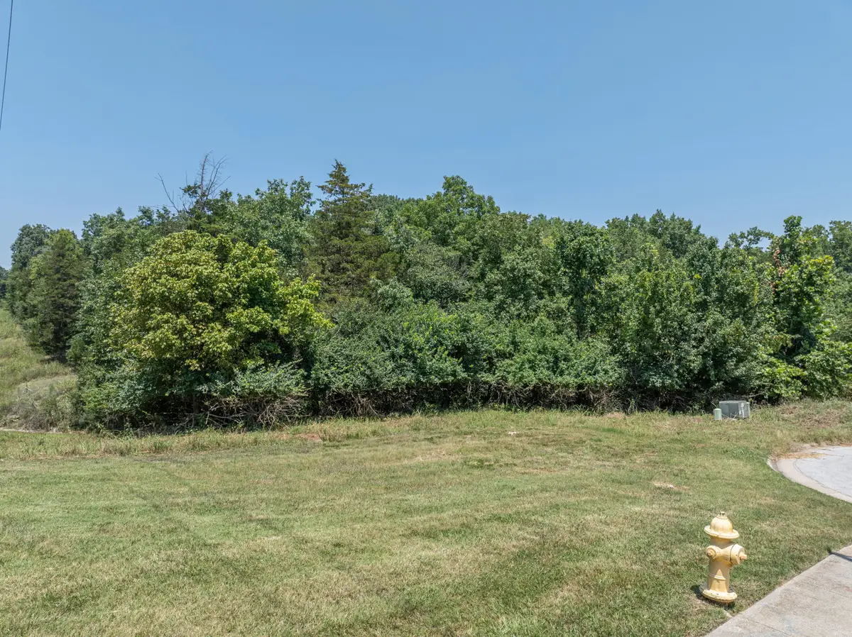 5423 S Ridge Top Avenue, Springfield, MO 65804 - #1