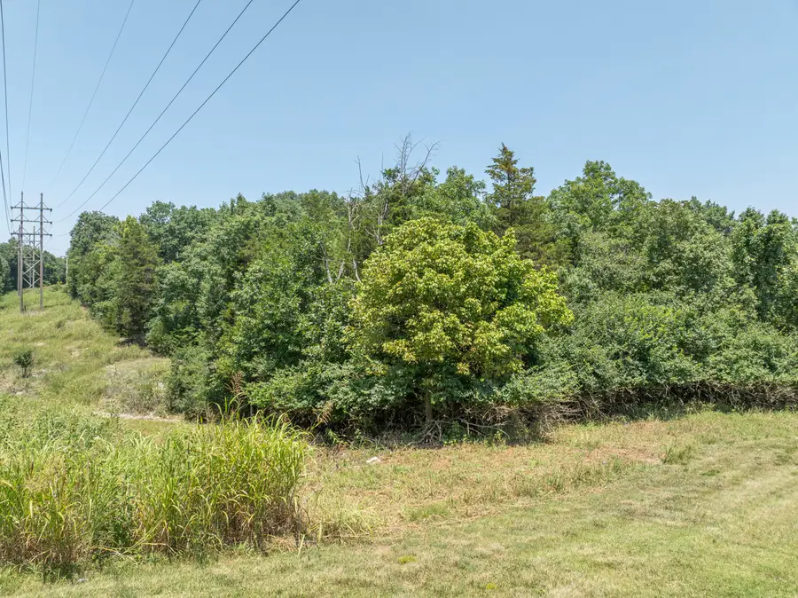5423 S Ridge Top Avenue, Springfield, MO 65804 - #3