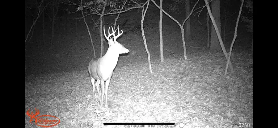 Lot 13 Lookout Point, Bruner, MO 65620 - #3