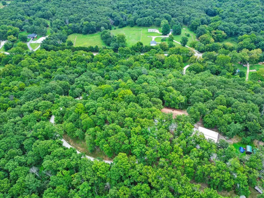 1054 E Preston Lane, Pleasant Hope, MO 65725 - #2