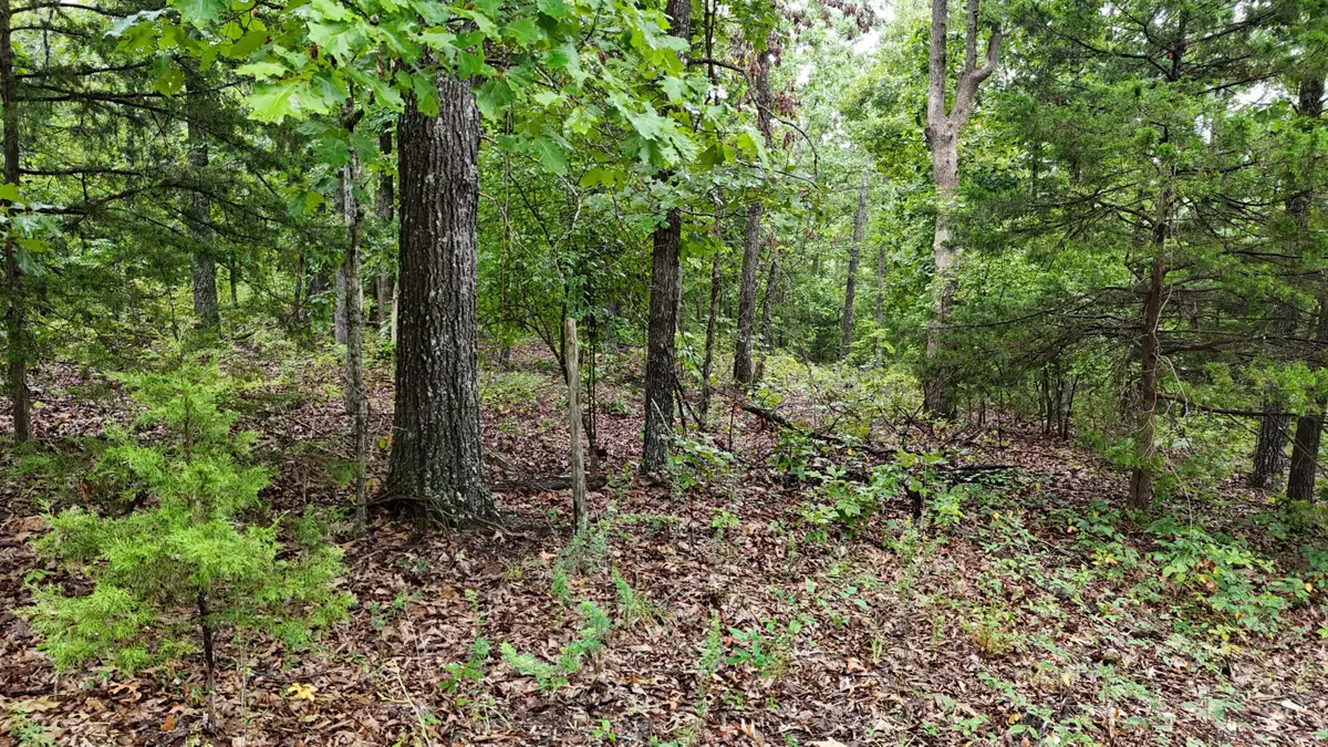 0000 County Road Jj-416, Ava, MO 65608 - #1