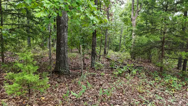 0000 County Road Jj-416, Ava, MO 65608