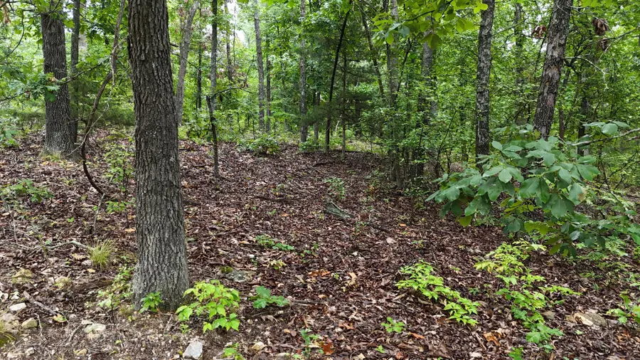 0000 County Road Jj-416, Ava, MO 65608 - #3