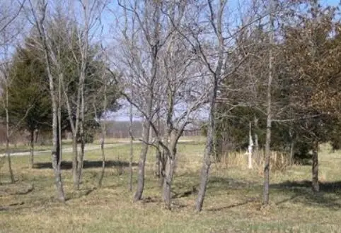 2294 State Highway 64, Louisburg, MO 65685 - #1
