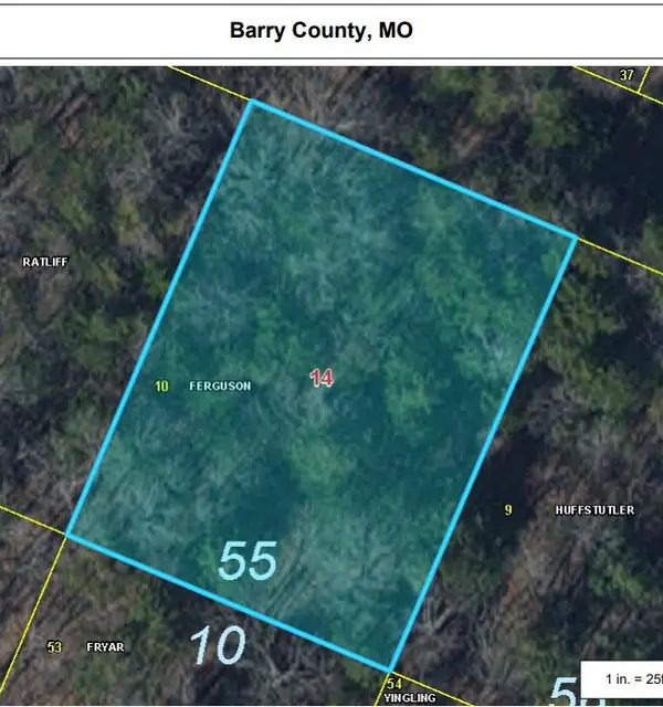 Lot 55 Big Creek, Shell Knob, MO 65747