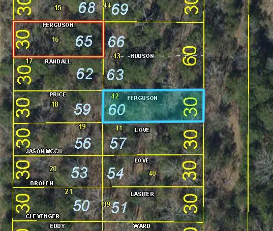Lot 60 Gumbo Woods, Shell Knob, MO 65747