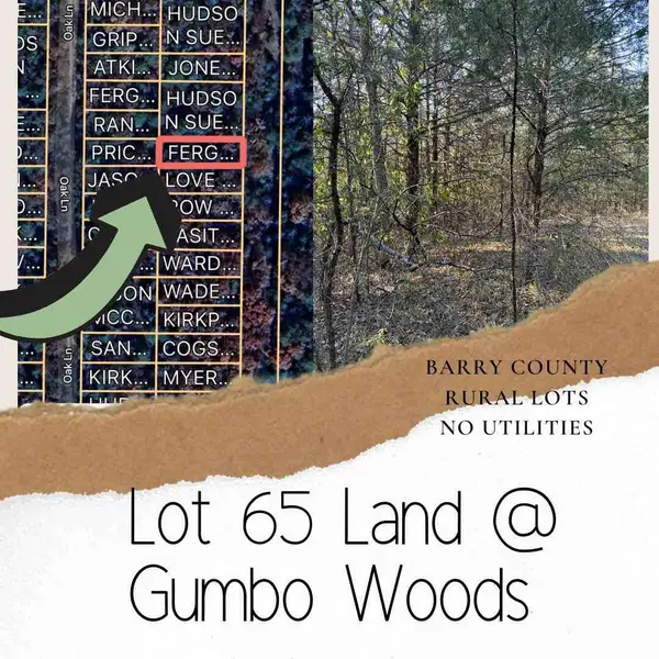Lot 65 Gumbo Woods, Shell Knob, MO 65747