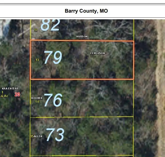 Lot 79- Gumbo Woods, Shell Knob, MO 65747 - #2