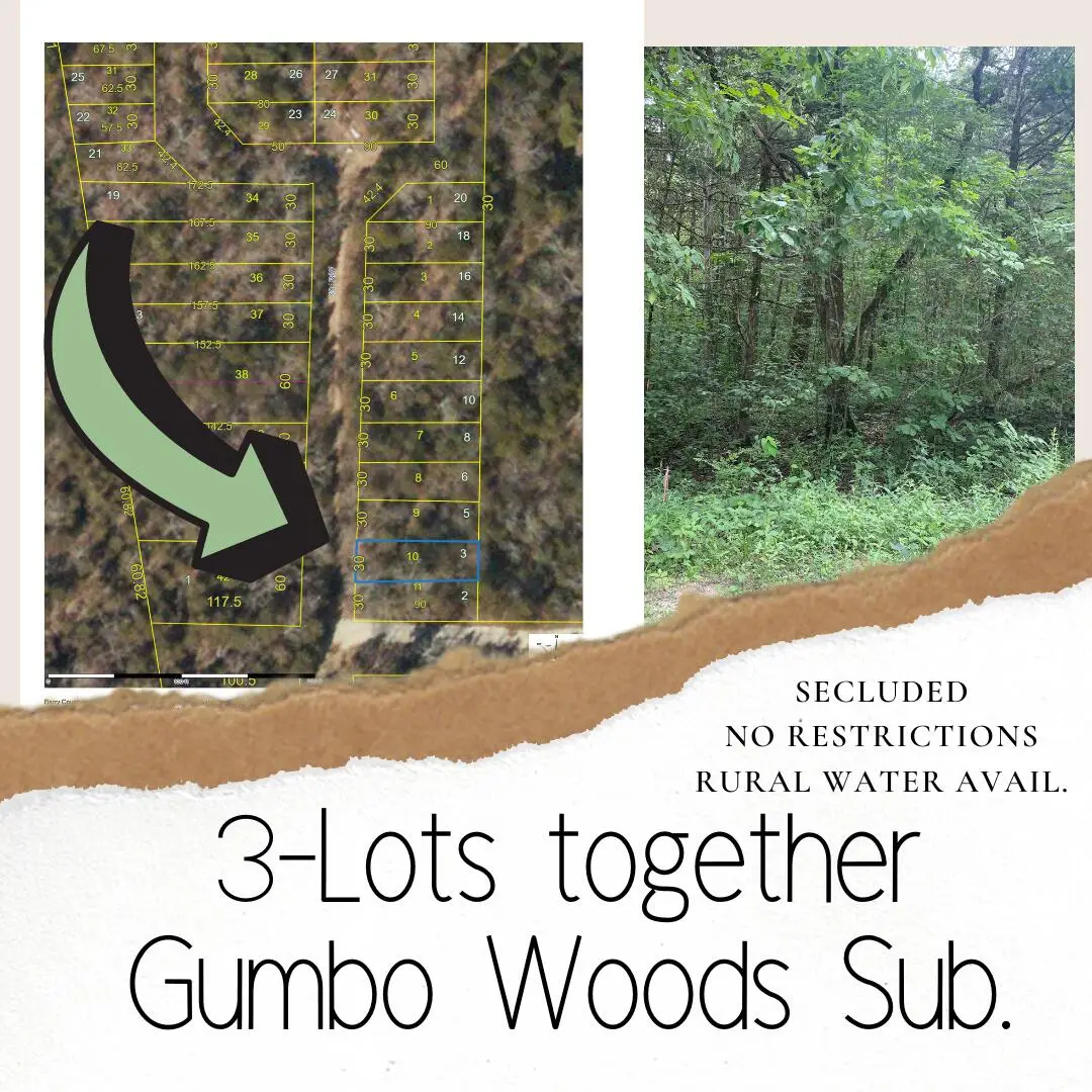 Lots 3,5,6 Gumbo Woods, Shell Knob, MO 65747 - #1