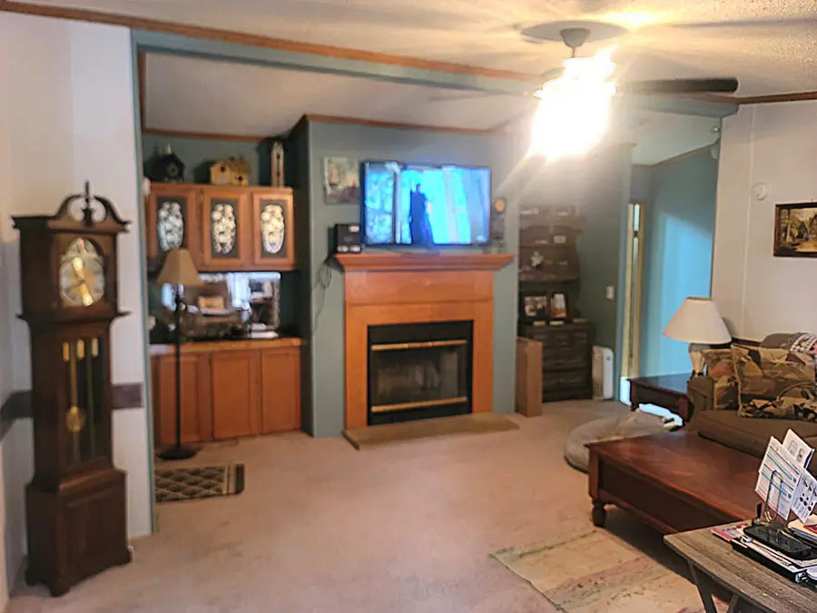 3005 Wren Road, Merriam Woods, MO 65740 - #2