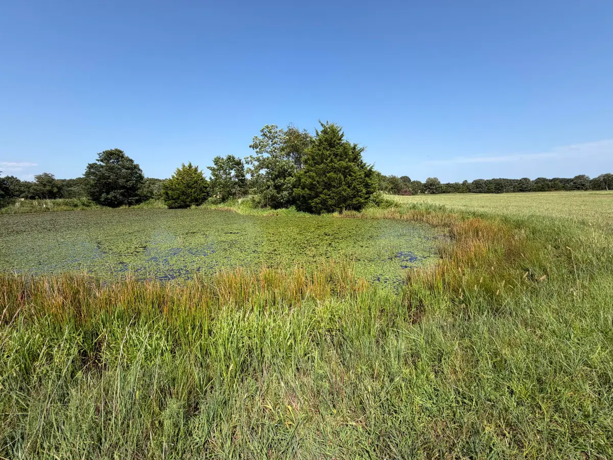 000 State Highway Y, Seneca, MO 64865 - #1