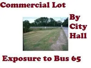 110 Esplanade Drive, Hollister, MO 65672 - #3