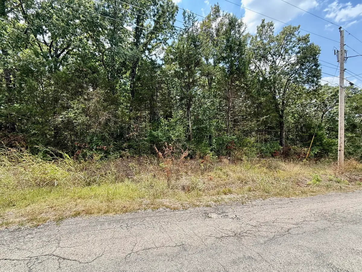 Lot 5 Driftwood Road, Merriam Woods, MO 65740 - #1
