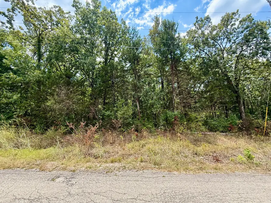 Lot 5 Driftwood Road, Merriam Woods, MO 65740 - #2