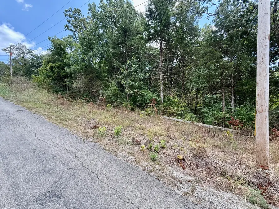 Lot 5 Driftwood Road, Merriam Woods, MO 65740 - #3