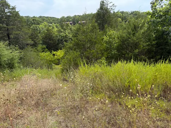 224 Blue Lake Trail, Branson West, MO 65737