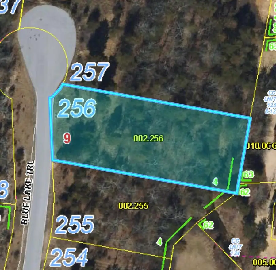 224 Blue Lake Trail, Branson West, MO 65737 - #2